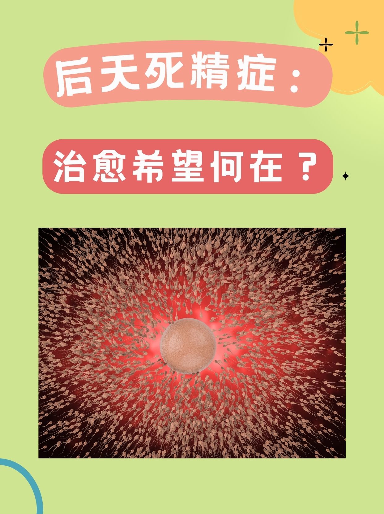 死精是什么原因
