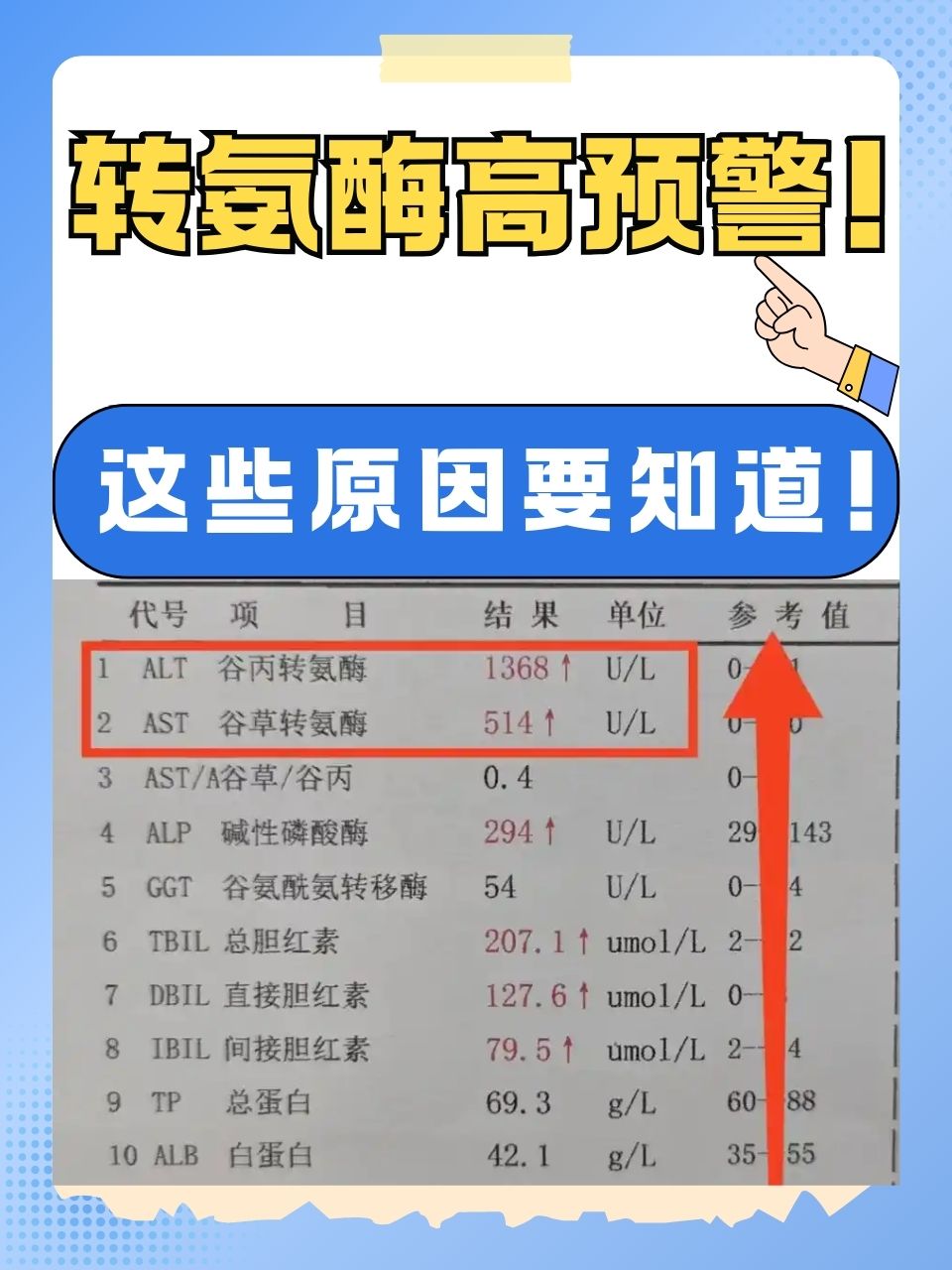 谷丙转氨酶是什么意思