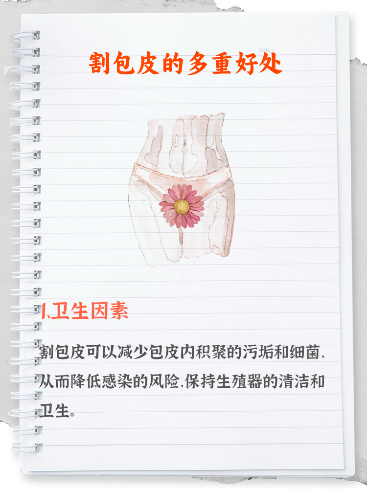 包皮,到底要不要割?