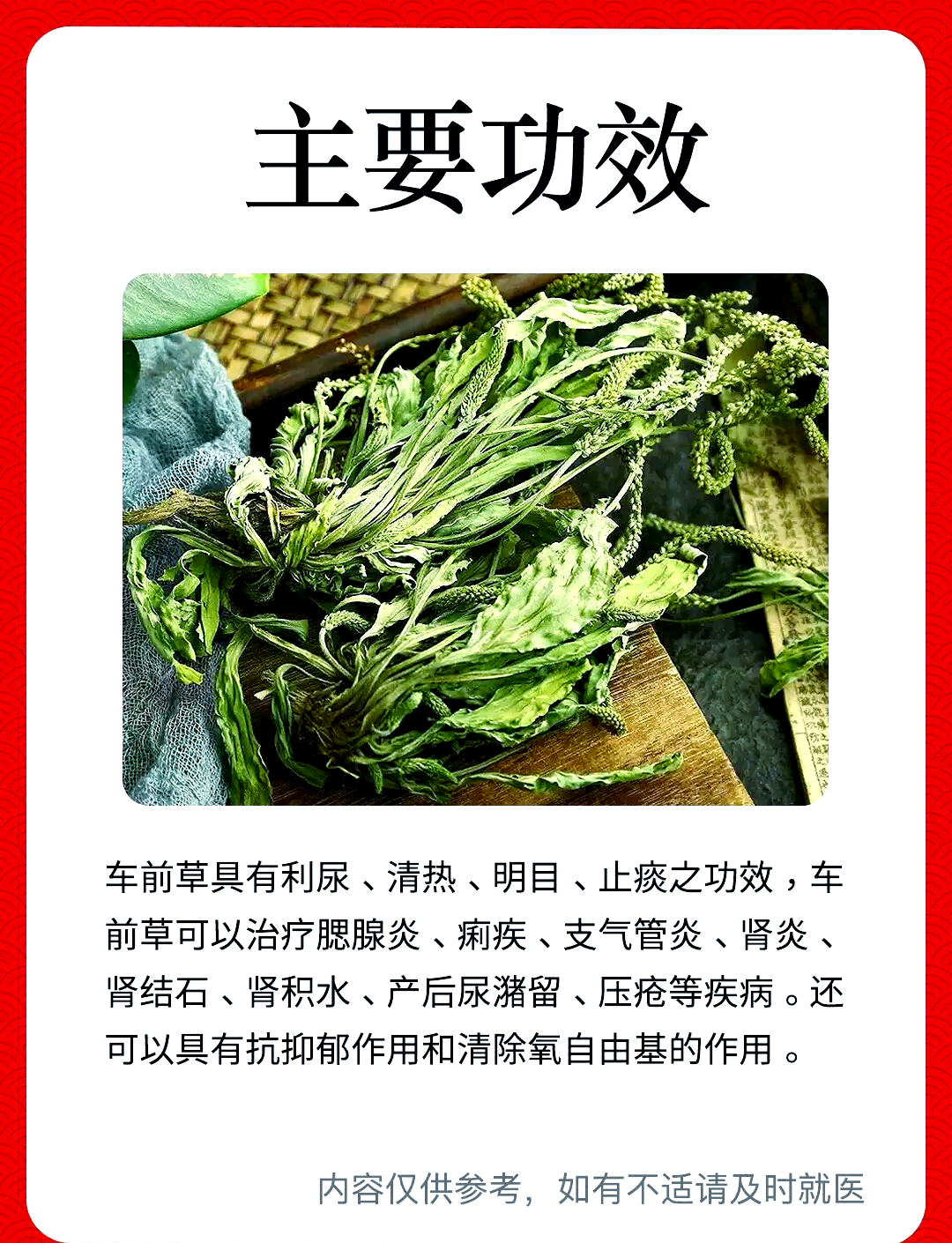 车前草的功效