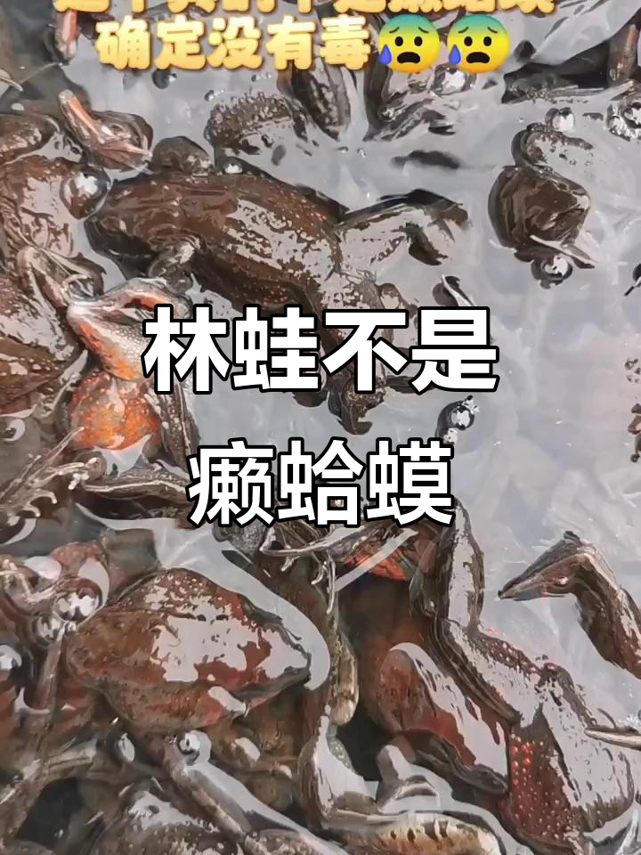 癞蛤蟆能吃吗?癞蛤蟆能吃吗?
