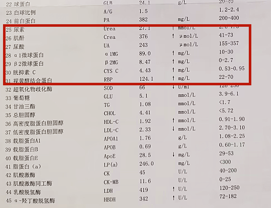 血尿素偏高