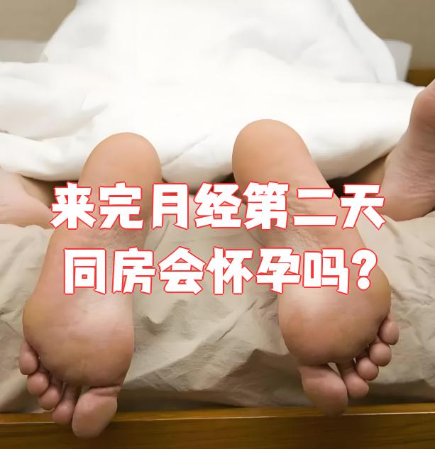 来月经前几天有性生活会怀孕吗