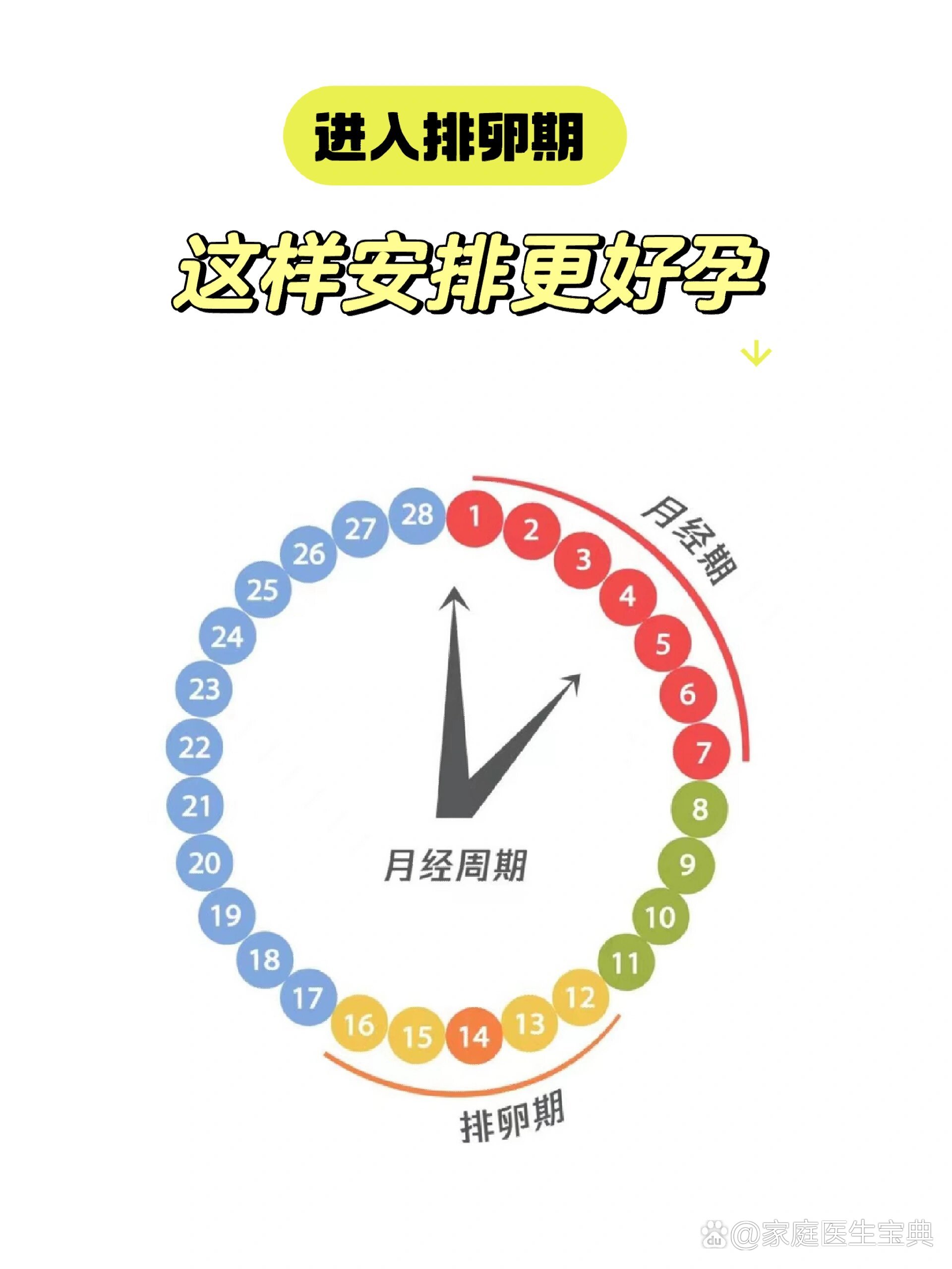 女性排卵期是啥时候