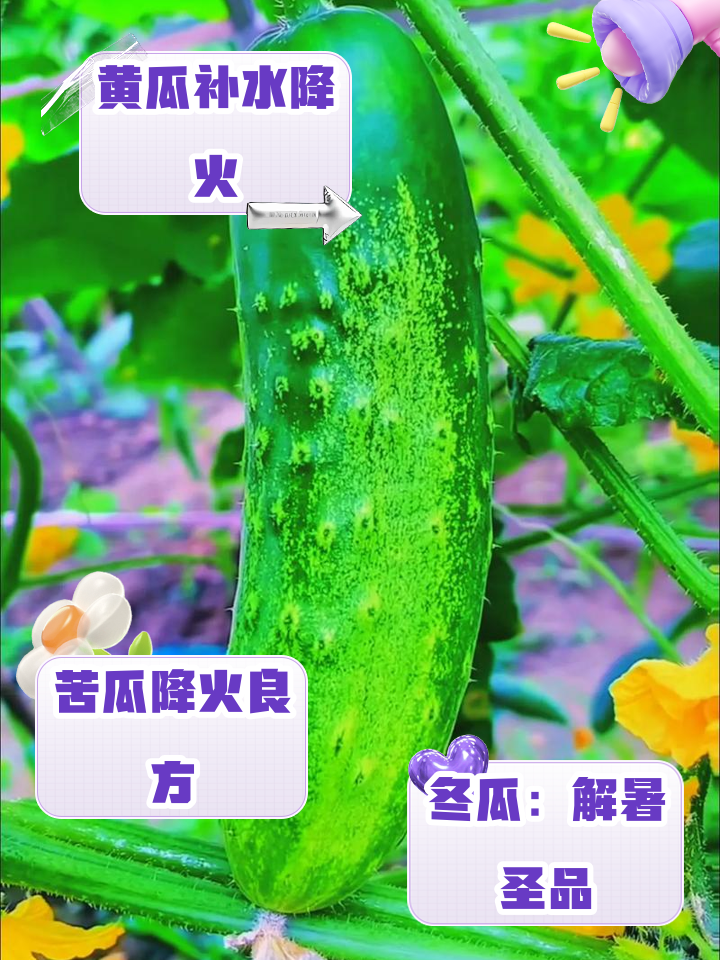 孕妇上火吃什么降火