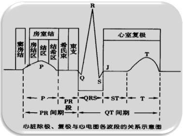 心电图pr间期正常值