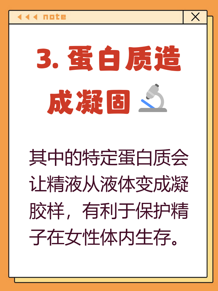 精液有透明固体是什么