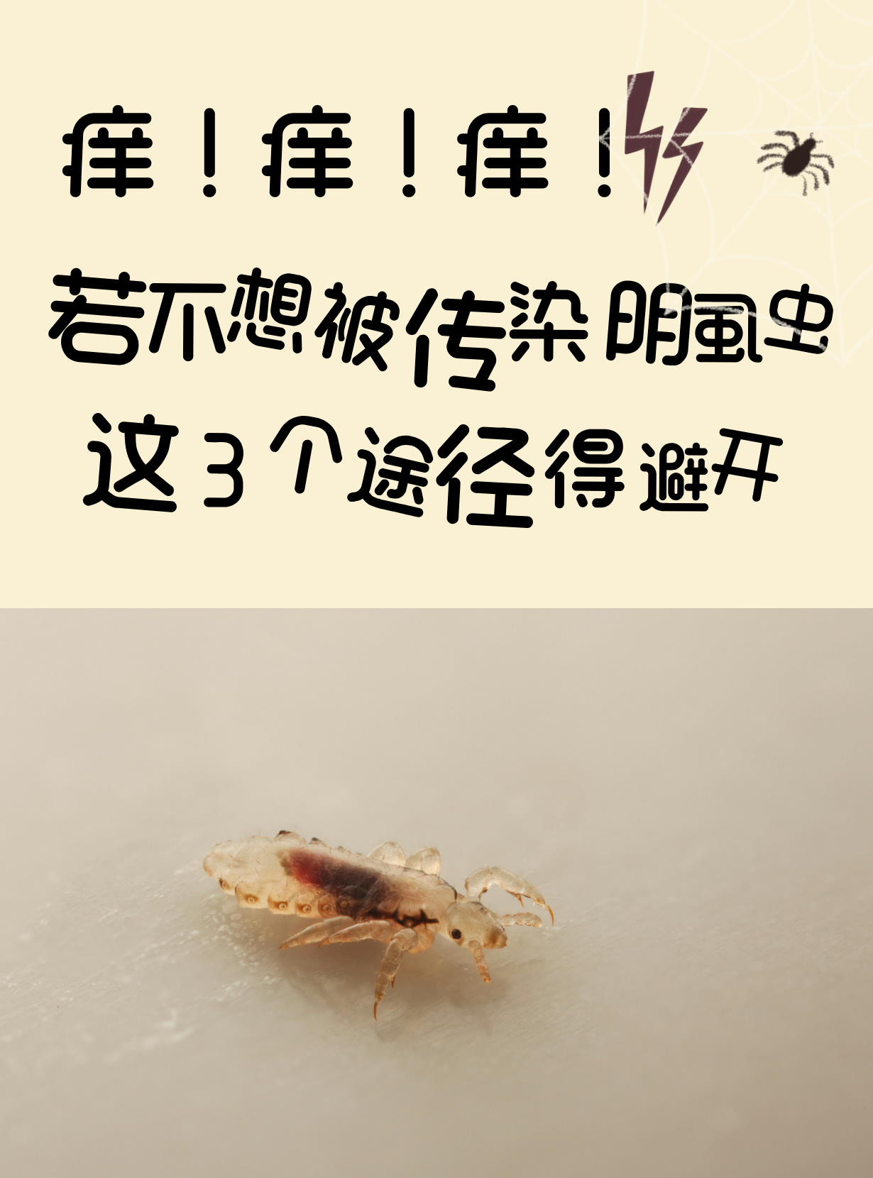 阴虱的治疗方法有什么?