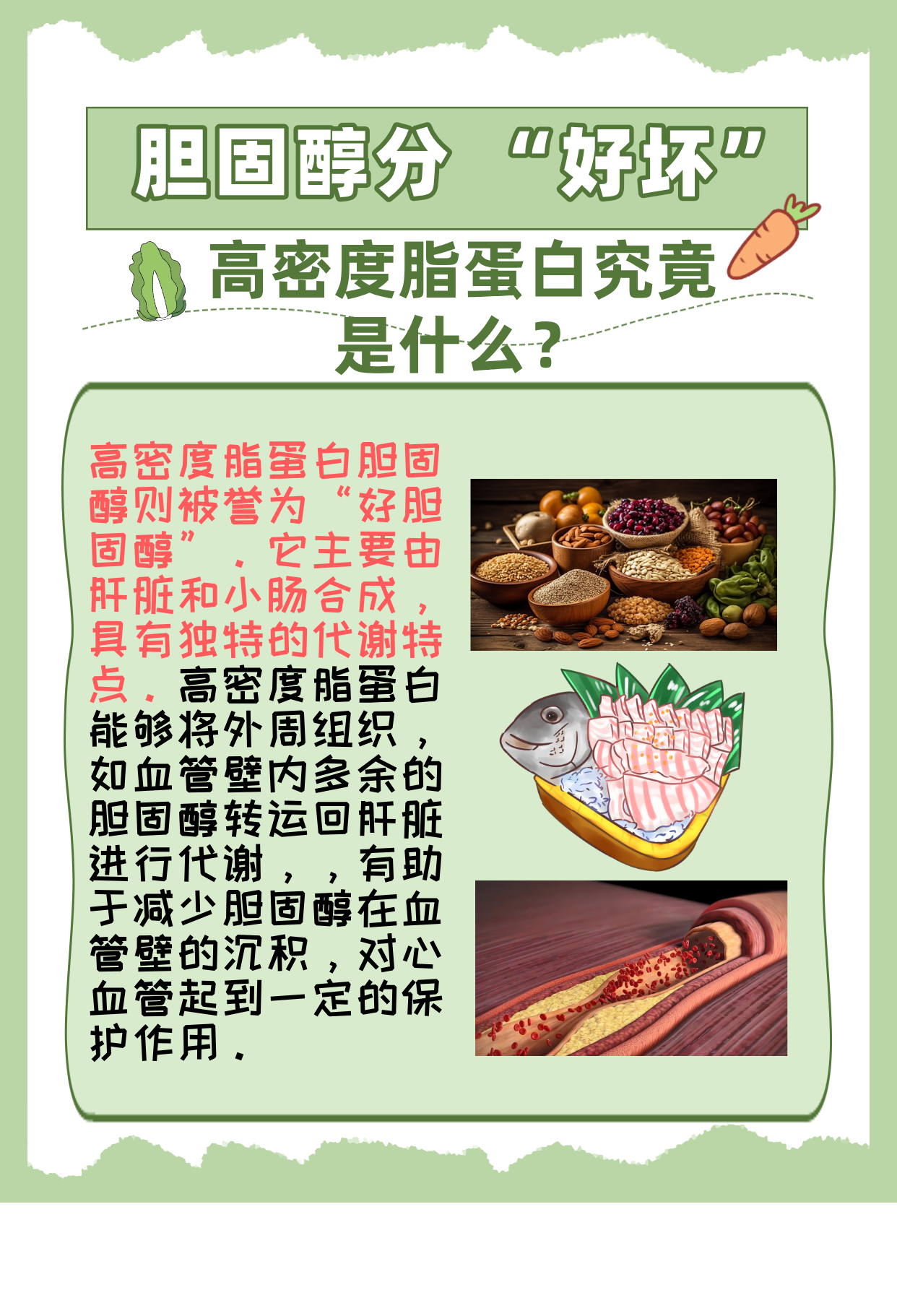 高密度脂蛋白胆固醇偏低是什么原因