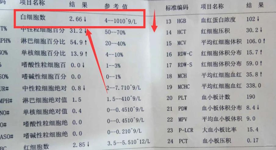 白细胞减少的危害有哪些?