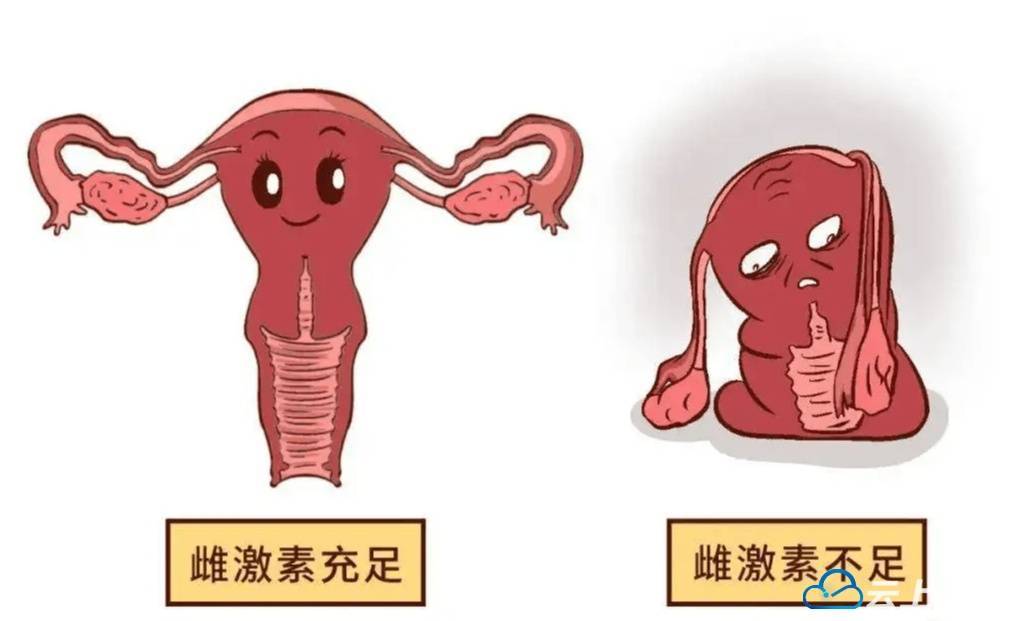 女性内分泌紊乱一般会出现哪些症状?