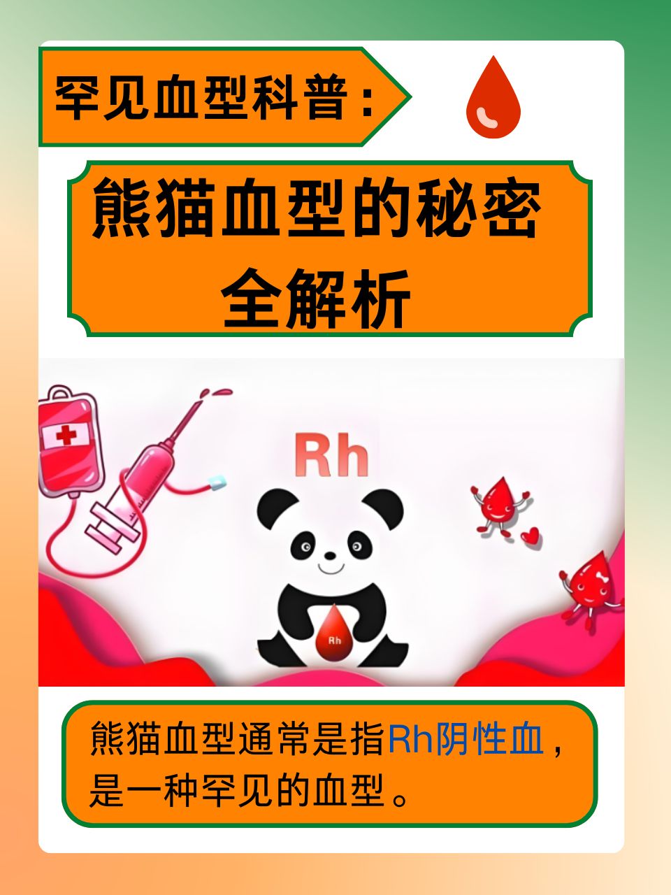 rh阴性血型是什么意思