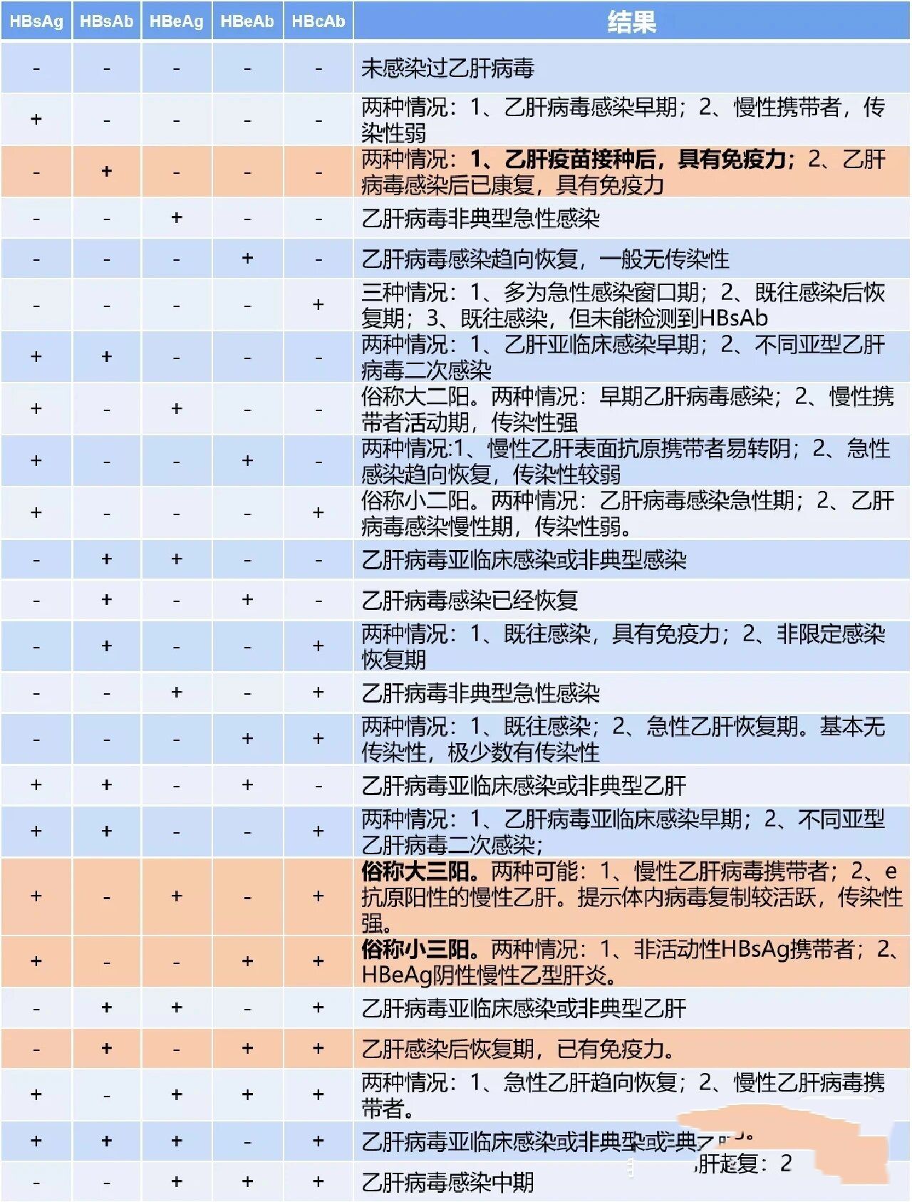 肝功和乙肝五项的区别