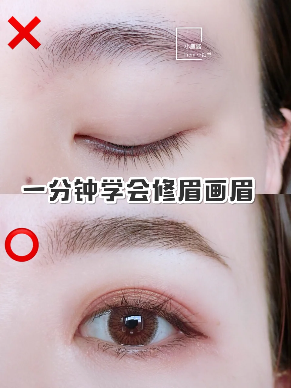 眉毛剃了多久能长出来?