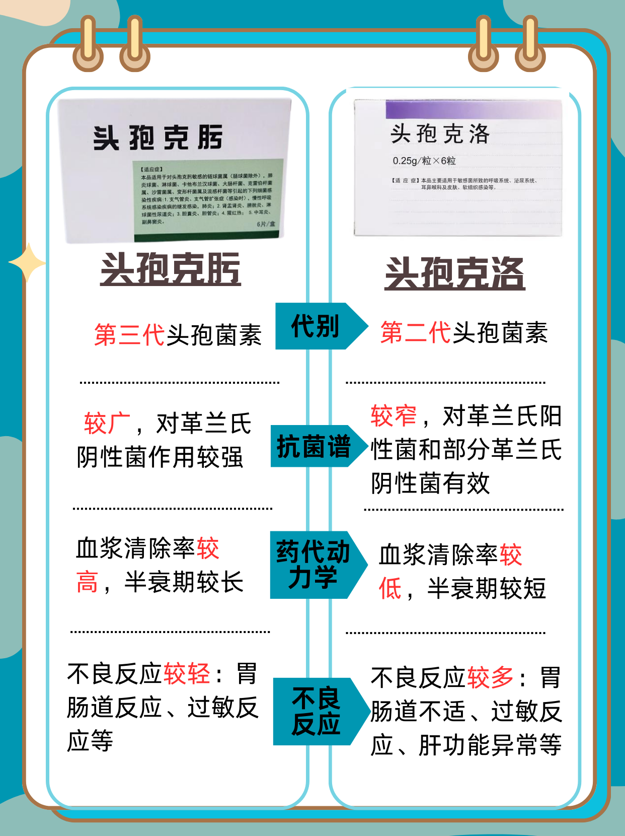 岳鹏鹍 第2页