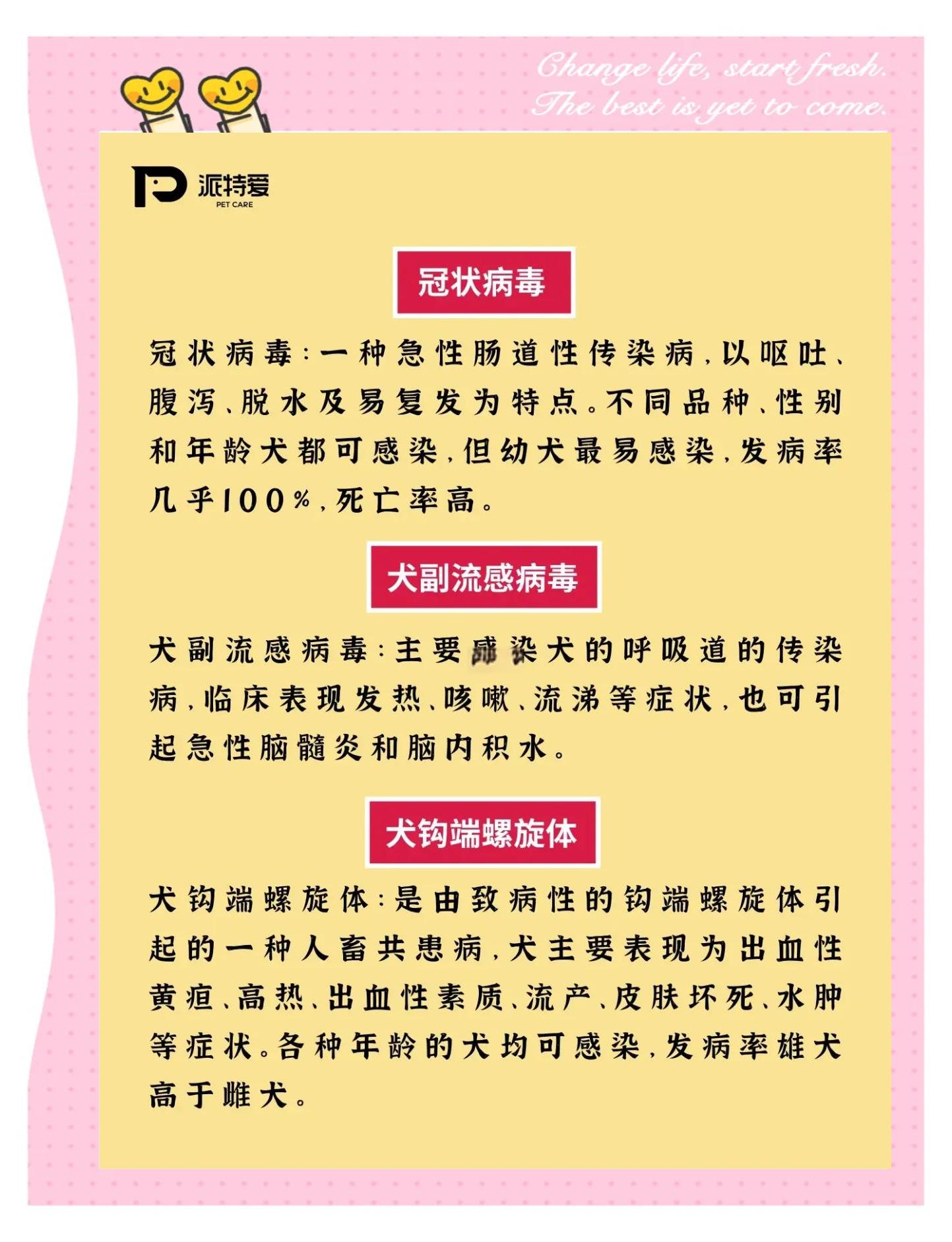 我想问一下我是不是被狗狗传染疾病了?