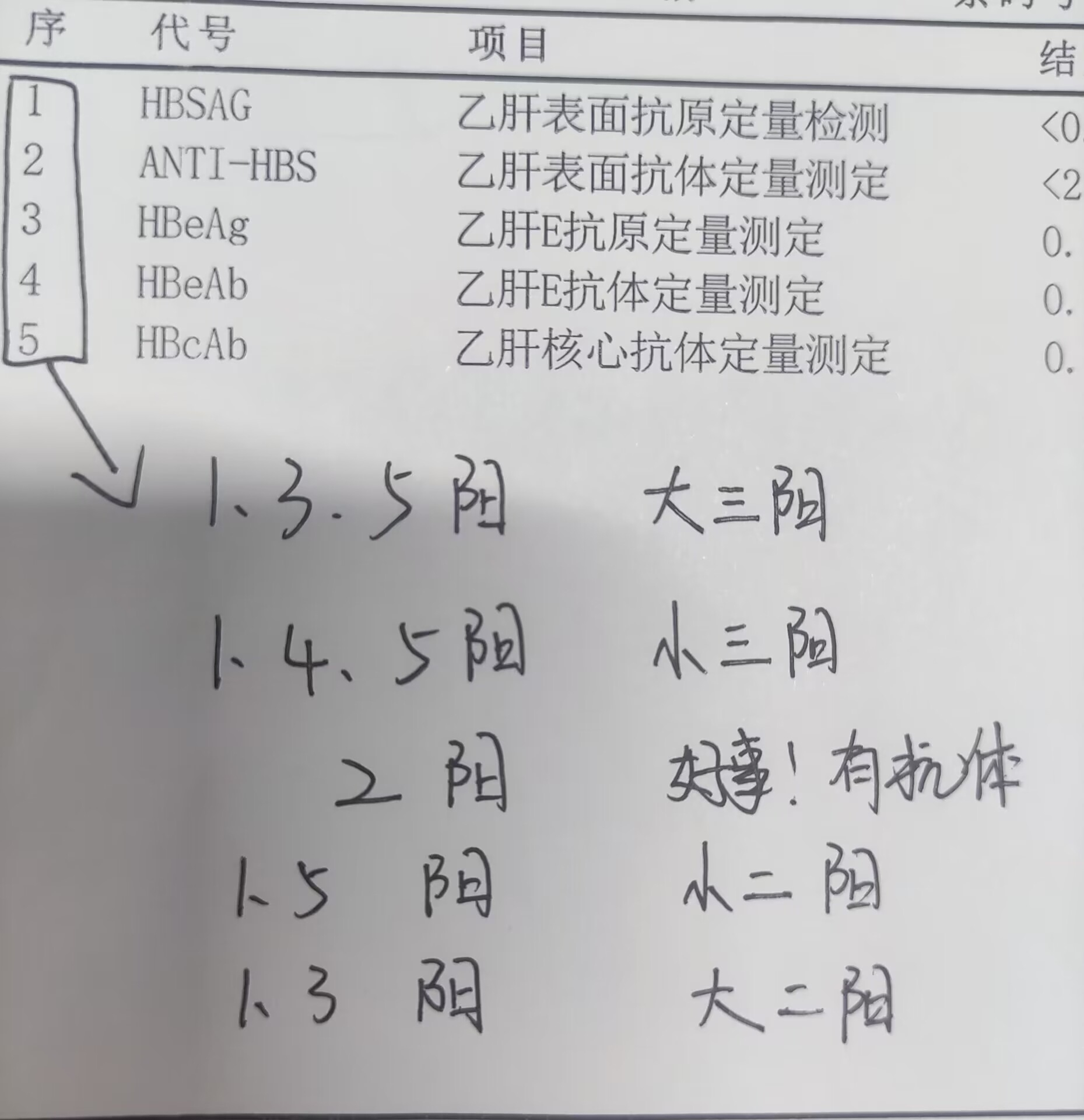 乙型肝炎表面抗体阳性是什么意思