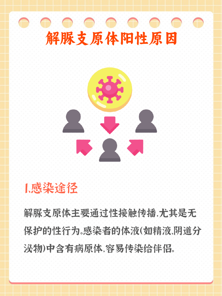 什么是肺炎支原体阳性?