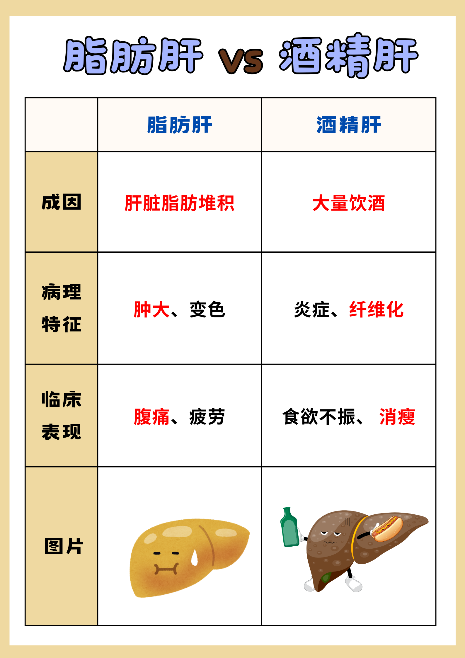 脂肪肝传染吗?