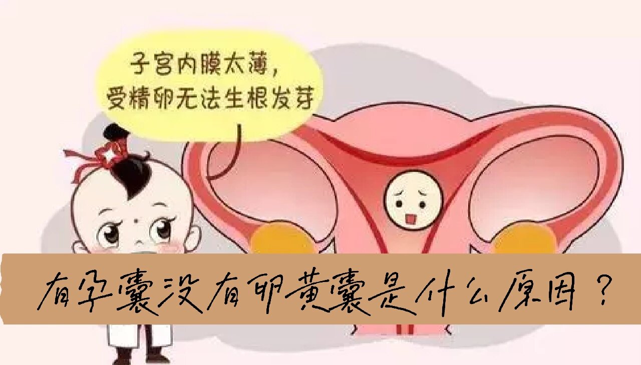 有卵黄囊会胎停育吗