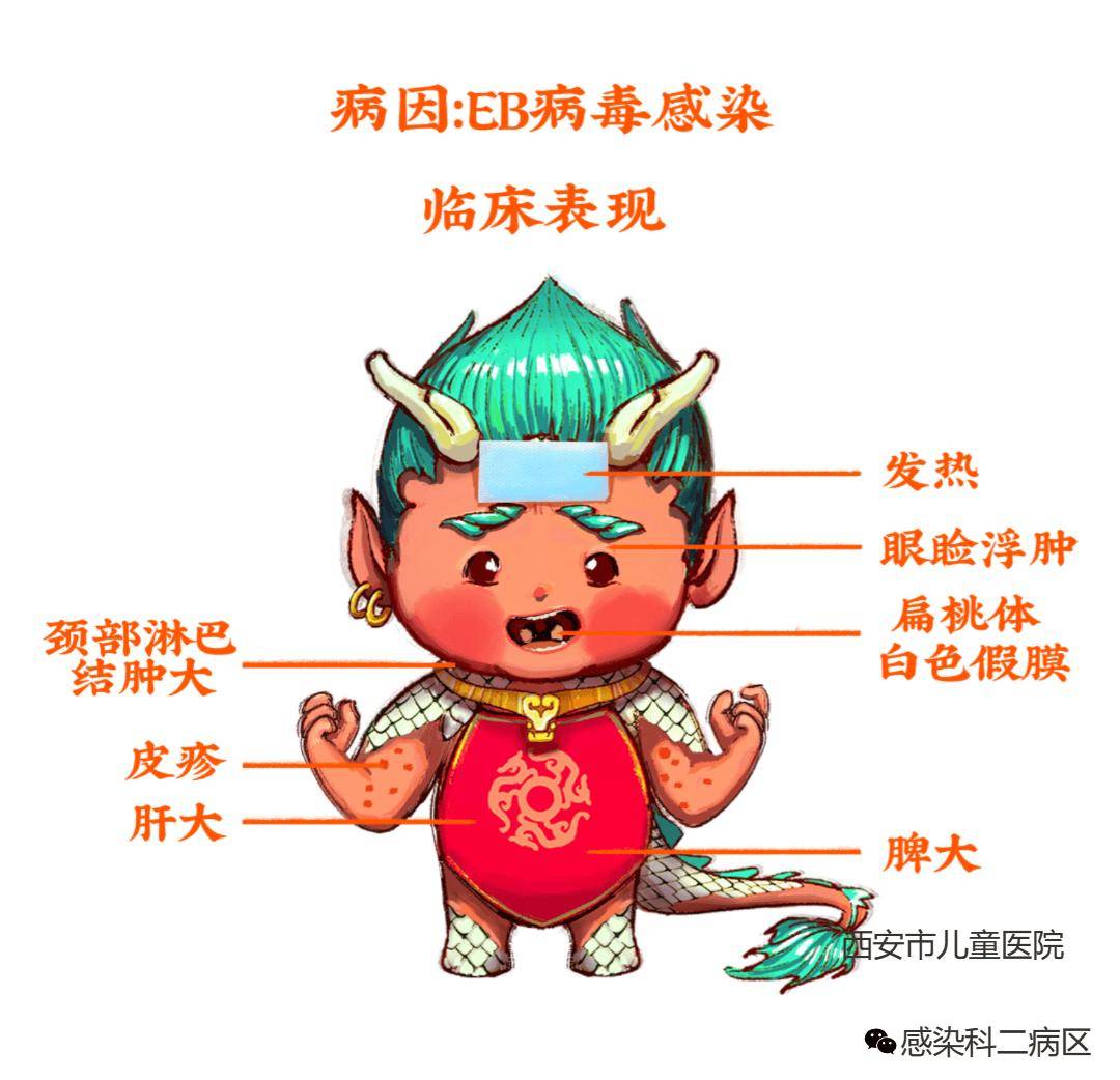 病毒性感冒会传染么