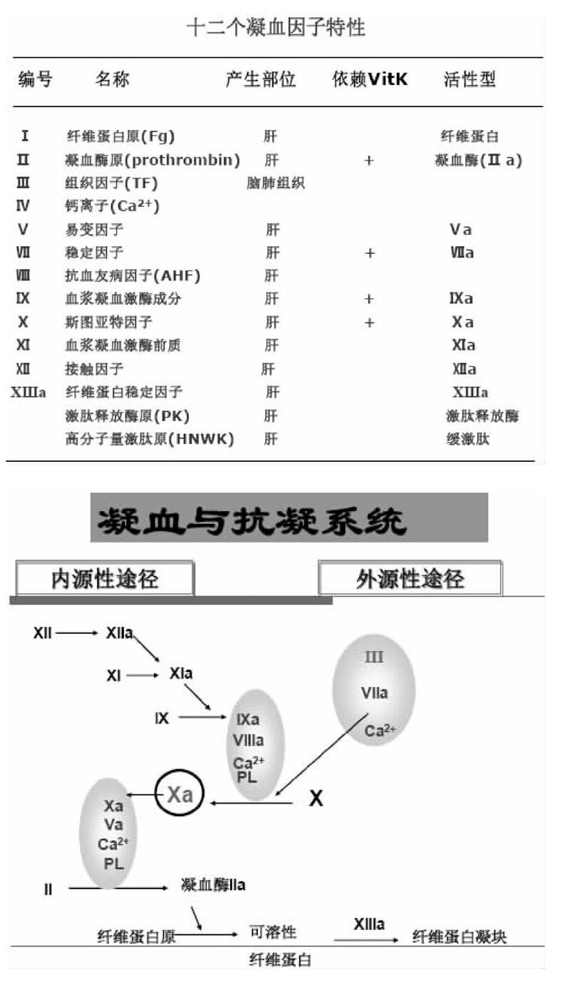 凝血功能障碍有症状吗
