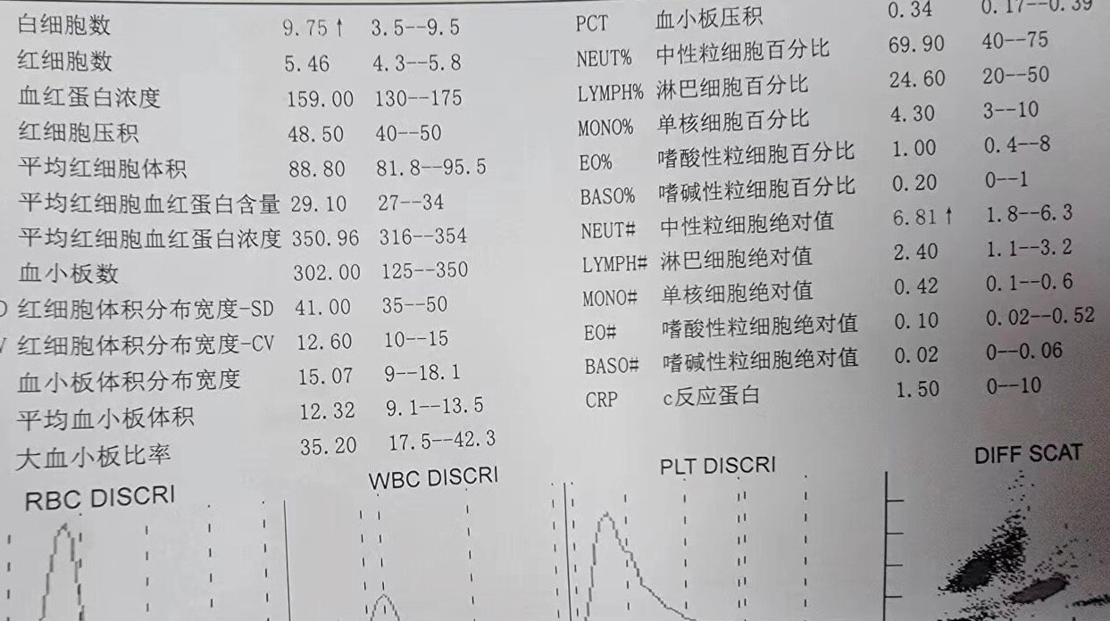 白细胞偏高是怎么回事