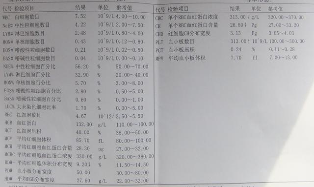 血常规异常是怎么回事