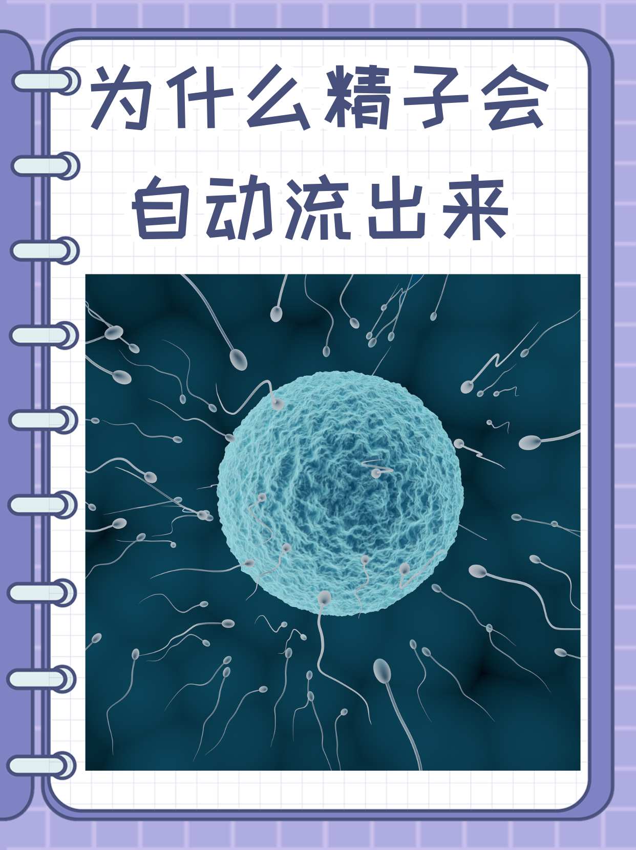 男人的精子女人能吃吗?吃了对女人有什么样