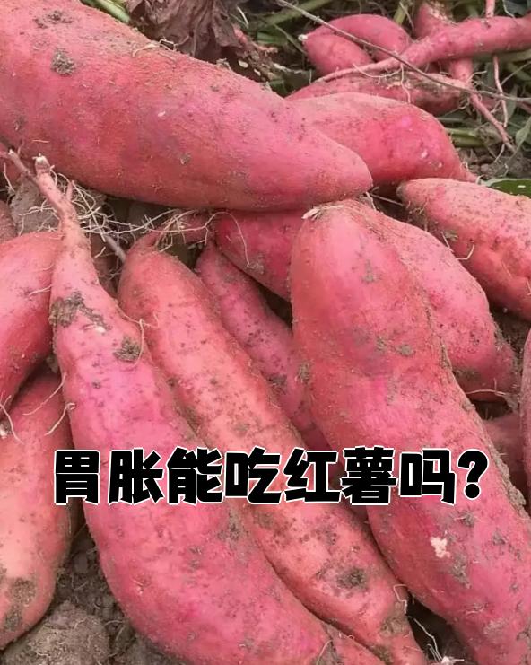 吃红薯会发胖吗