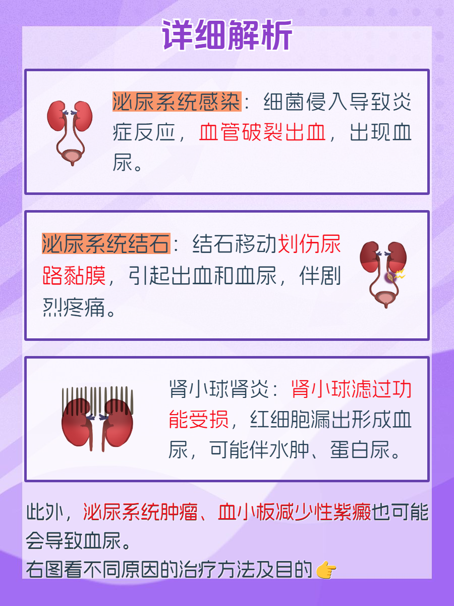 血尿是什么原因引起的