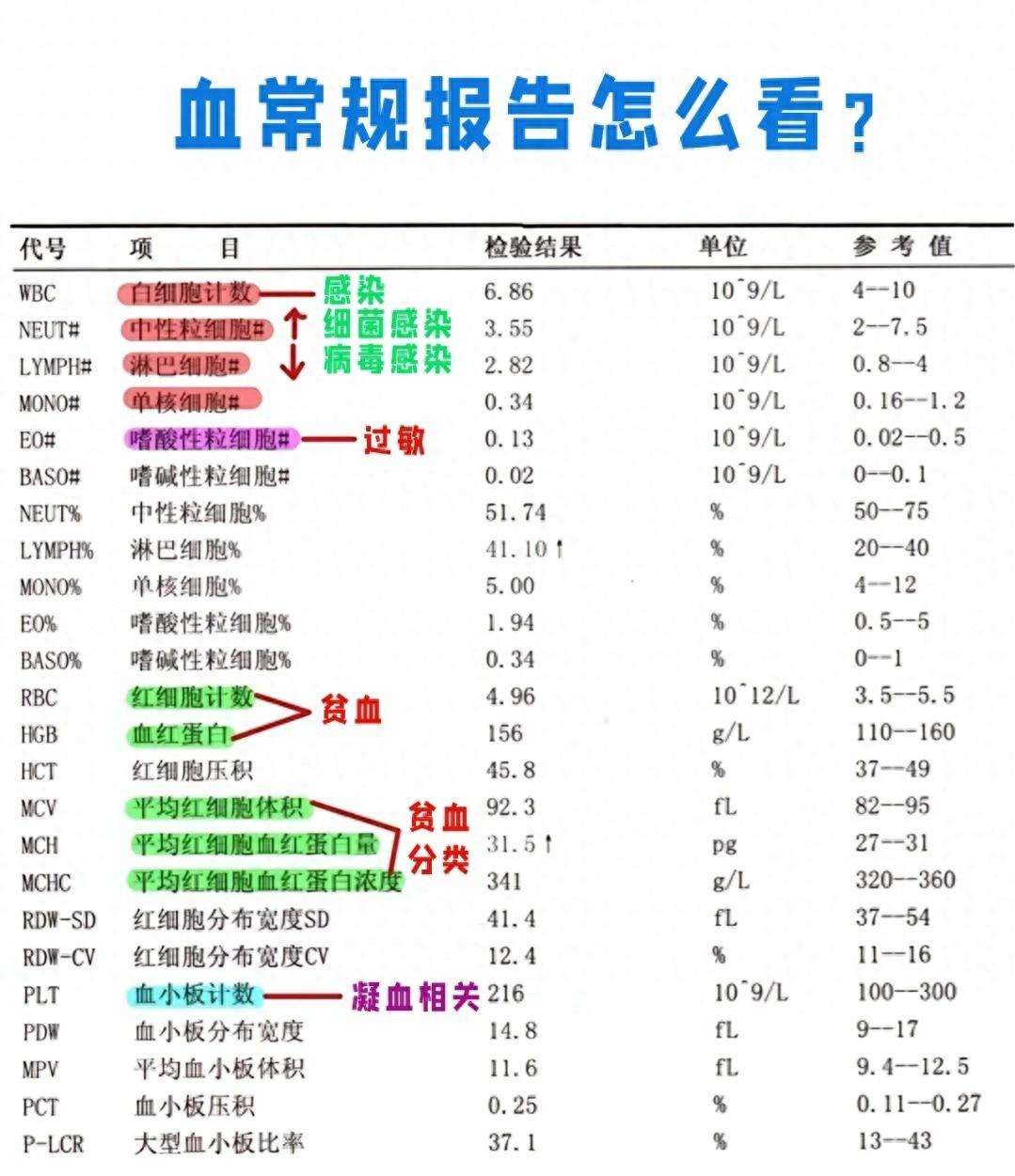 血常规白细胞偏高是什么原因