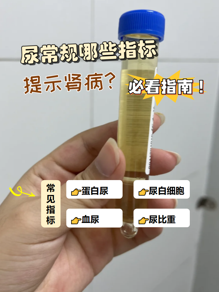 肾大约值多少钱一个