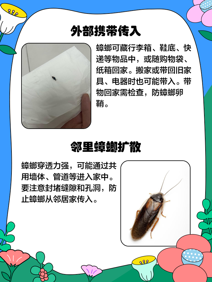 蟑螂对人体的危害