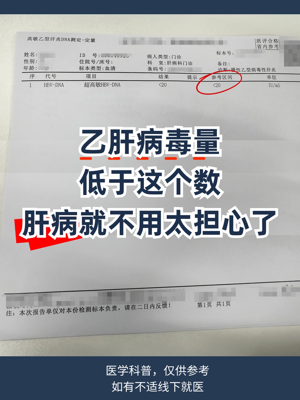 乙肝病毒DNA荧光定量