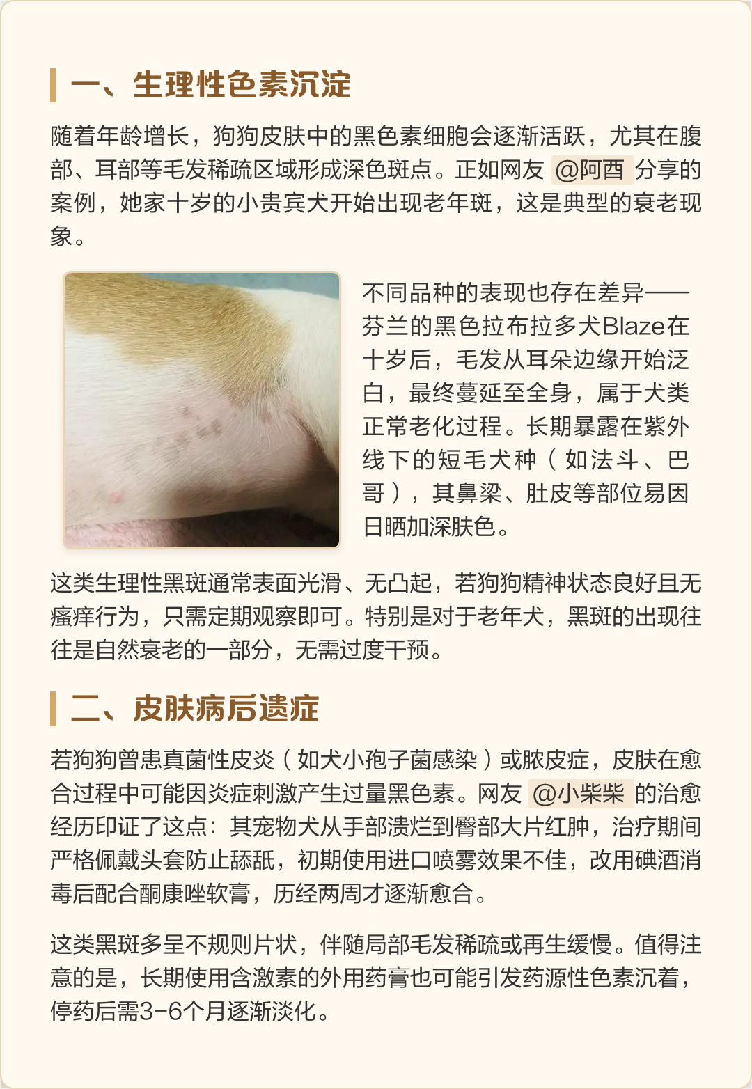 身上长了黑斑是什么原因