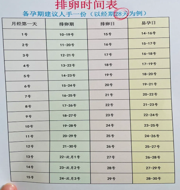 月经周期怎么算