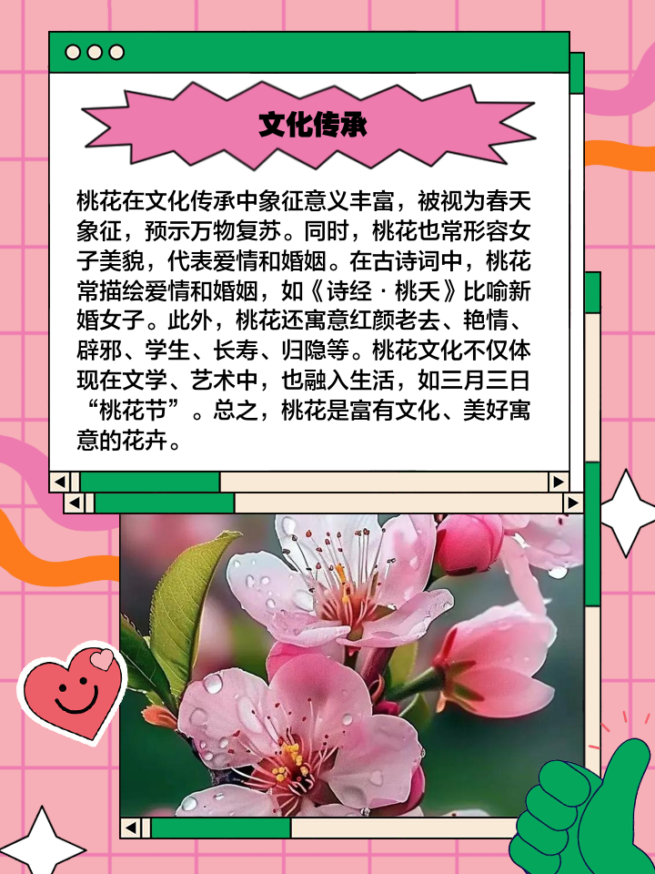 中药桃花的功效与作用