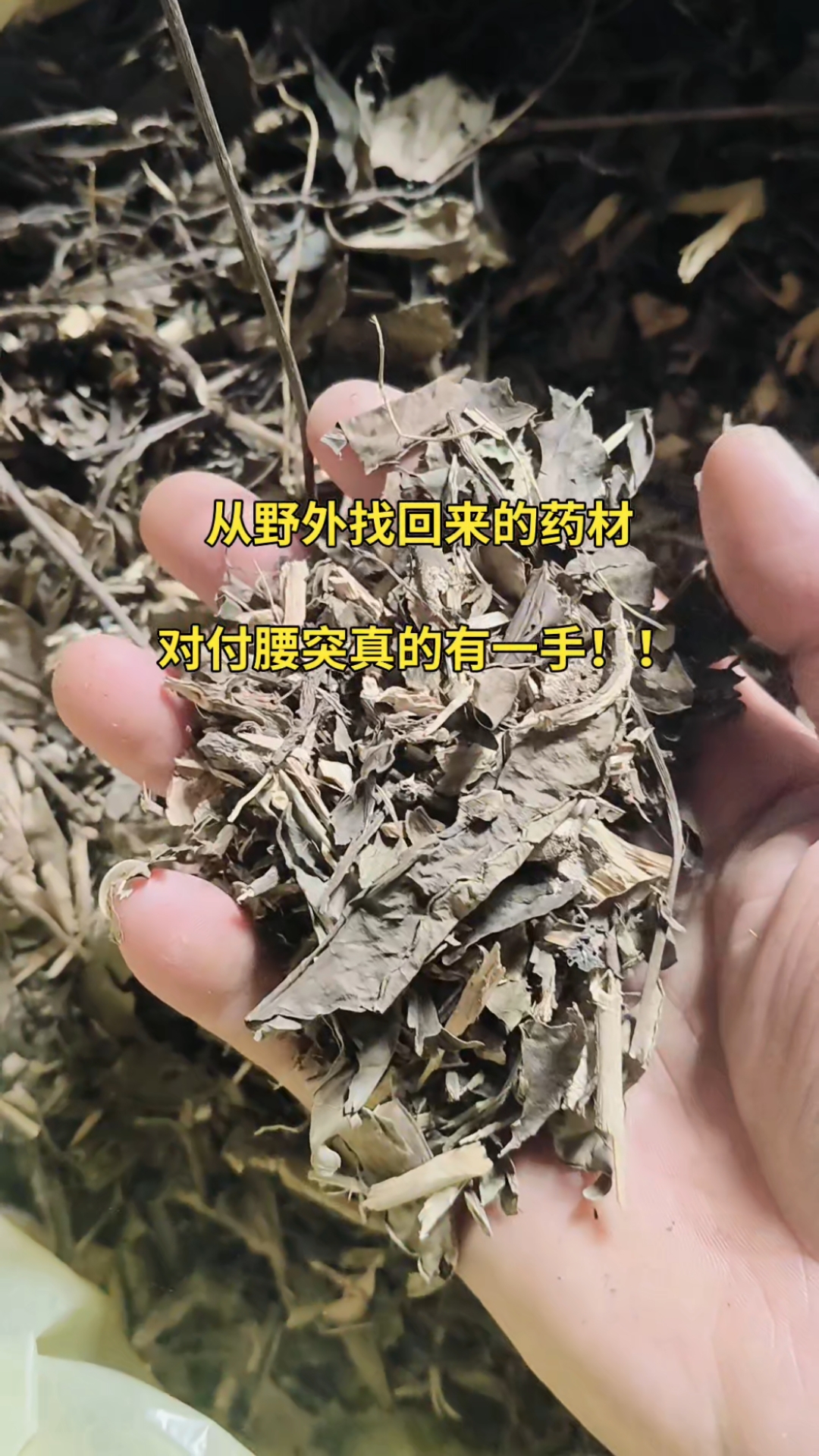 治疗腰间盘突出的偏方有哪些