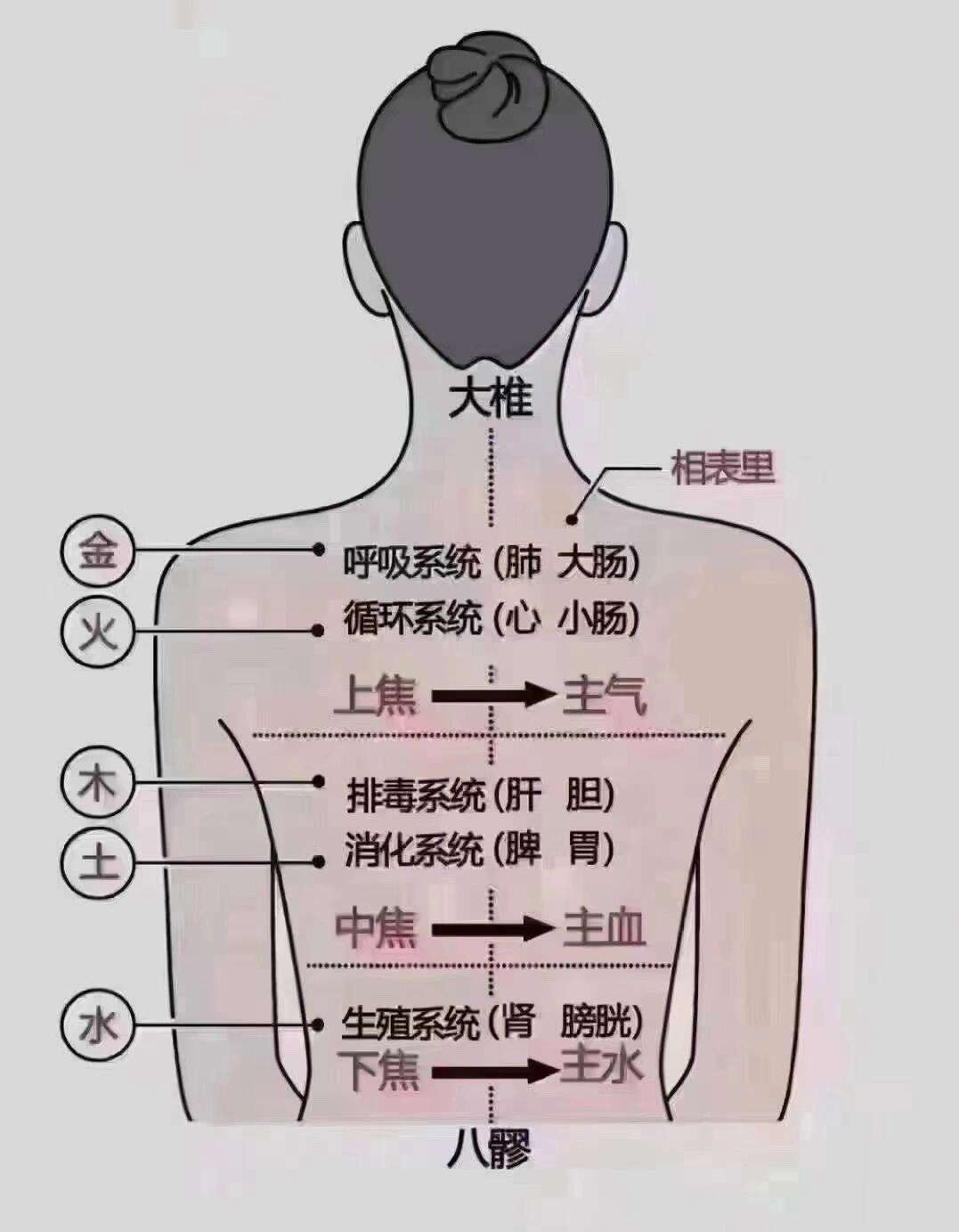 右后背疼是怎么回事