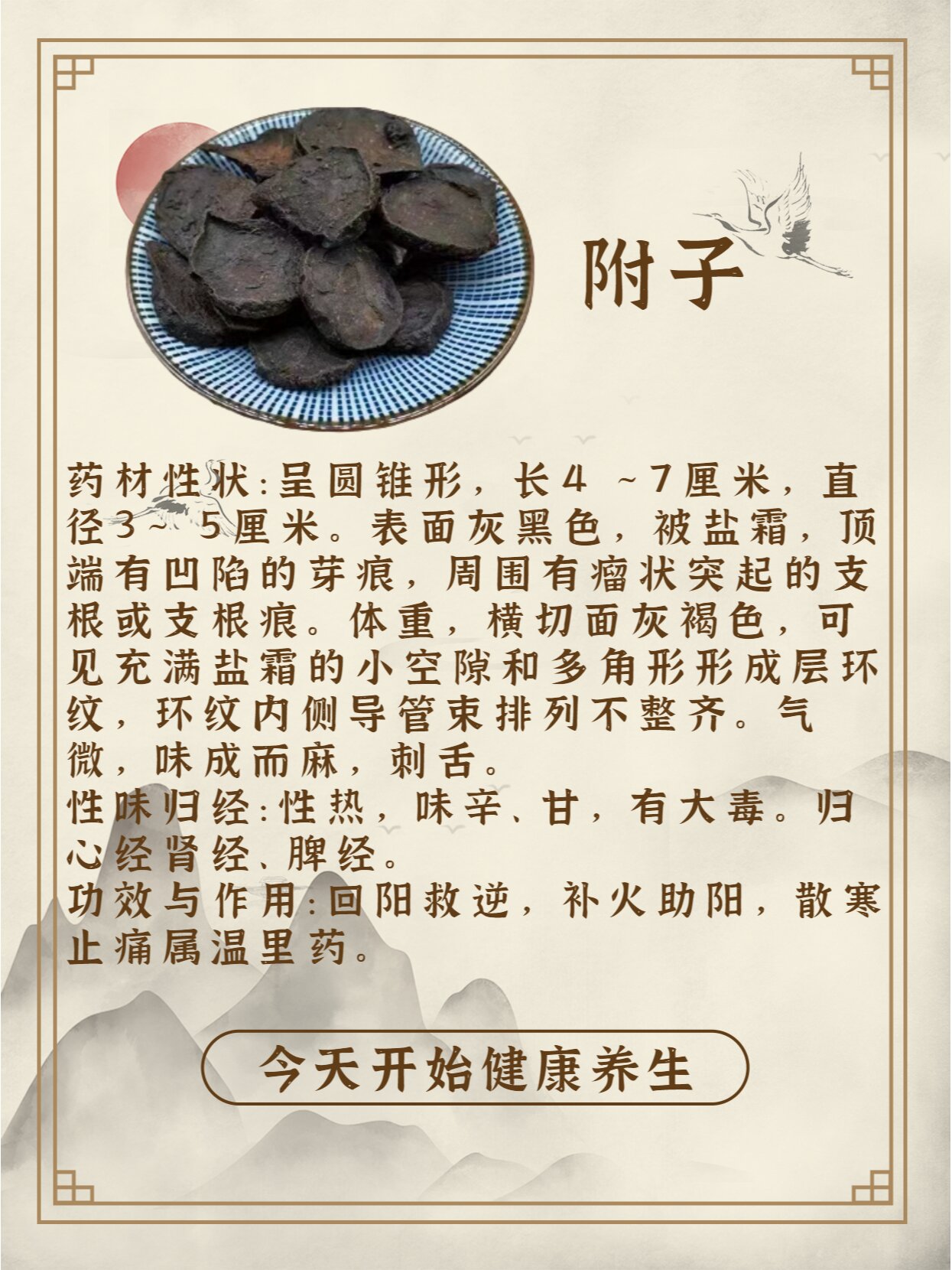 白附子的功效与作用