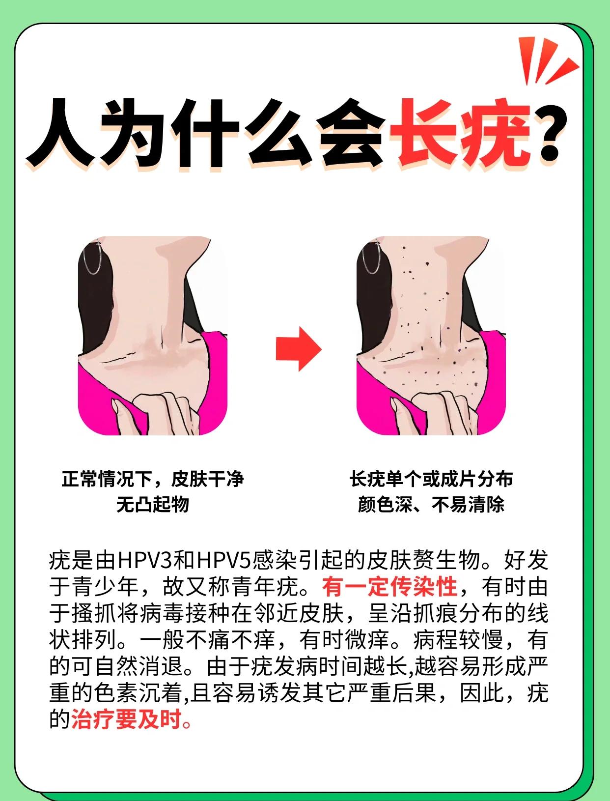 善乐安