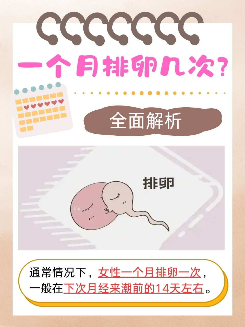 打了破卵针什么时候排卵