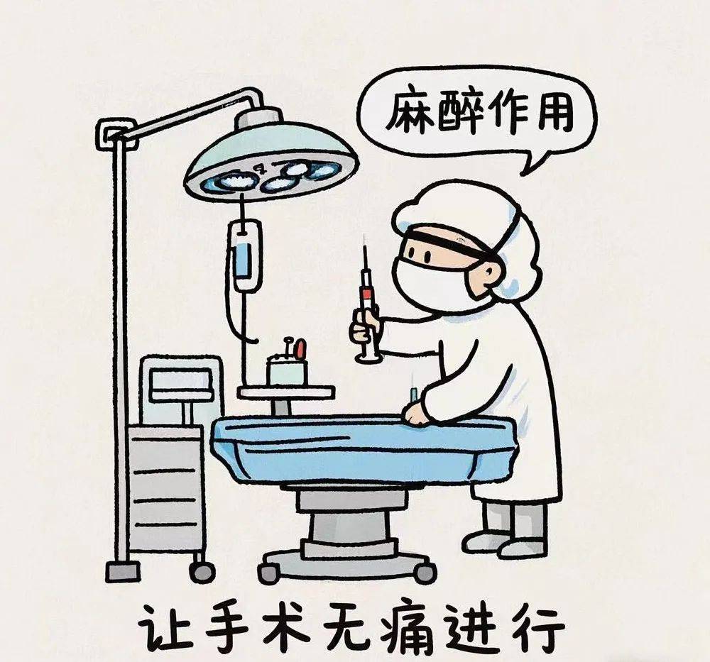 全身麻醉打哪些部位