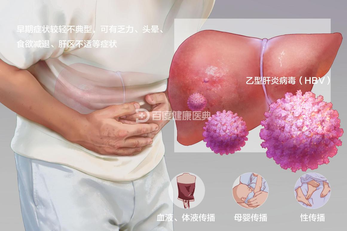 感染了乙肝病毒会有什么样的症状?