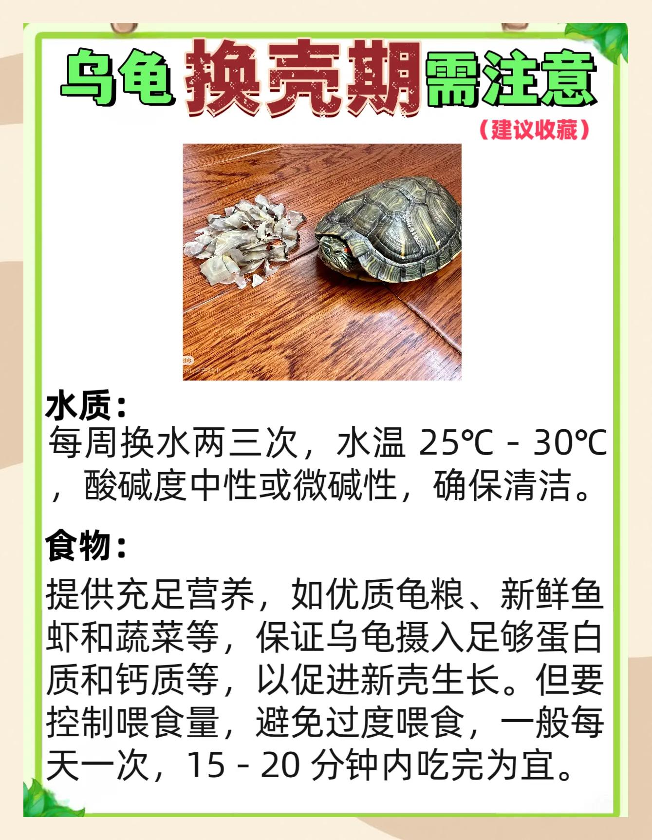 乌龟肉吃了又什么好处?