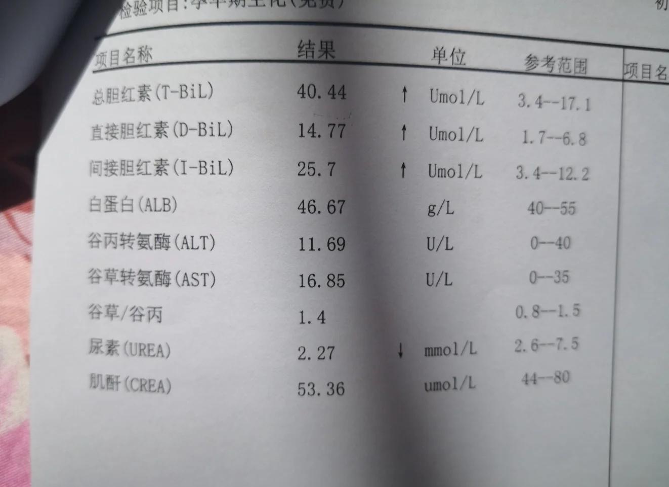 单纯胆汁酸偏高