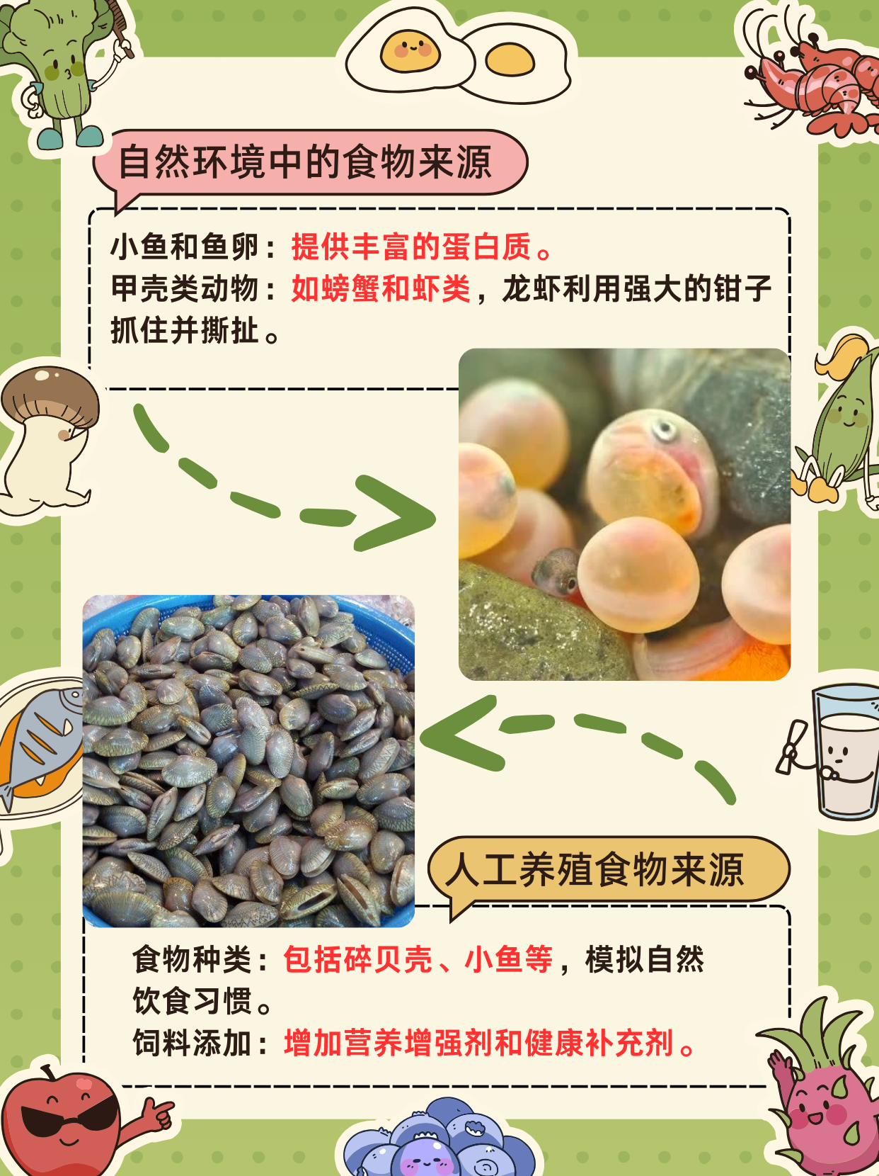小龙虾的营养价值及功效