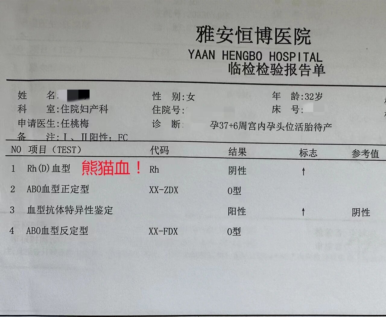 Rh血型阳性是什么意思?