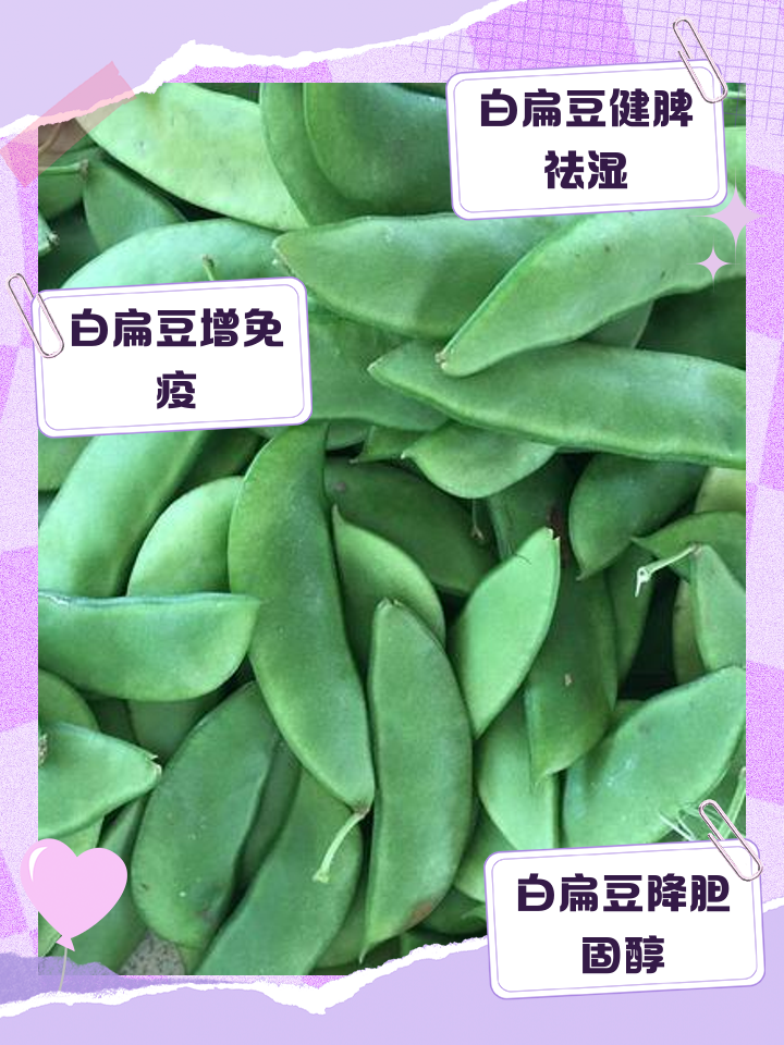 我问白扁豆炒与不炒有什么区别?
